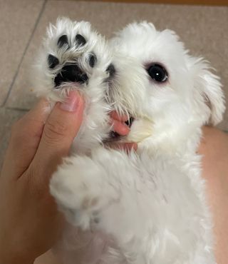 냥냥이님이 올린 리뷰 사진 3