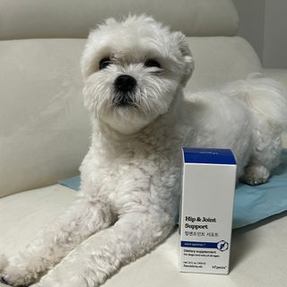 토블리님이 올린 리뷰 사진 3