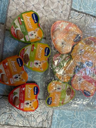 비타크래프트 조에시 하트캔 85g 강아지 습식캔 10캔 — 5점을 준 리뷰어가 2021년 8월 올린 사용 사진