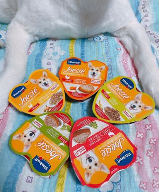 비타크래프트 조에시 하트캔 85g 강아지 습식캔 10캔 — 5점을 준 리뷰어가 2021년 7월 올린 사용 사진