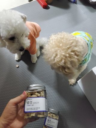 모모맘님이 올린 리뷰 사진 2