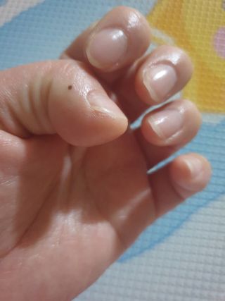 삐랭이님이 올린 리뷰 사진 3