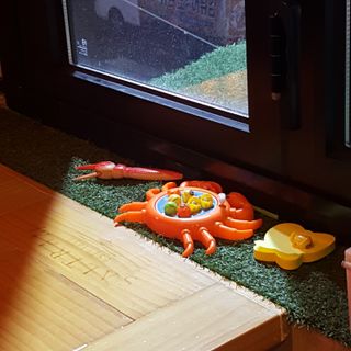 Hellen1004님이 올린 리뷰 사진 1