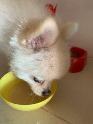 별이빛나길님이 올린 리뷰 사진 3