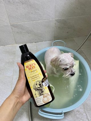 HanaCha님이 올린 리뷰 사진 3