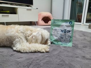My Pet Care 천연단백질 눈건강에 개좋아 — 3점을 준 리뷰어가 2021년 3월 올린 사용 사진