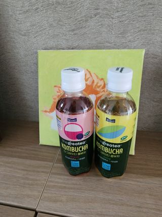 더그레잇티 콤부차 [매일유업] 더그레잇티 44kcal 콤부차 300ml *12개입 (오리지널 6개+베리리치 6개) — 5점을 준 리뷰어가 2023년 7월 올린 사용 사진