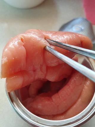 탱탱볼님이 올린 리뷰 사진 1