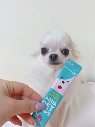 펫시랩 반려견용 액상 프리바이오틱스 아쿠아펫 — 4점을 준 리뷰어가 2021년 1월 올린 사용 사진