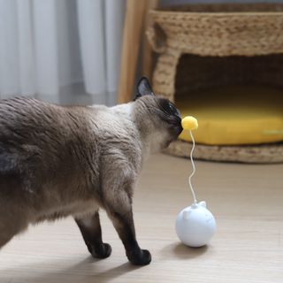 레비올라님이 올린 리뷰 사진 2
