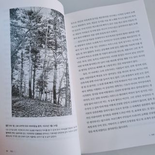 초록누리님이 올린 리뷰 사진 3