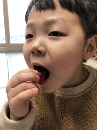 [푸름웰니스] 라바 멀티비타민 구미 36g — 5점을 준 리뷰어가 2022년 2월 올린 사용 사진