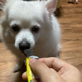 초콜렛푸딩님이 올린 리뷰 사진 4