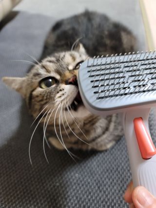나초단맘님이 올린 리뷰 사진 1