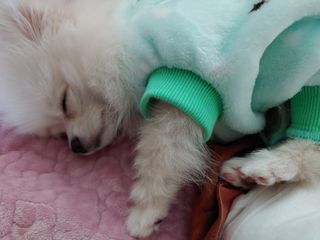 촵촵님이 올린 리뷰 사진 4