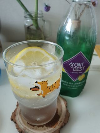 몽베스트 Montbest with Sparkling water Lemon OR Lime 20병(랜덤) — 5점을 준 리뷰어가 2022년 9월 올린 사용 사진