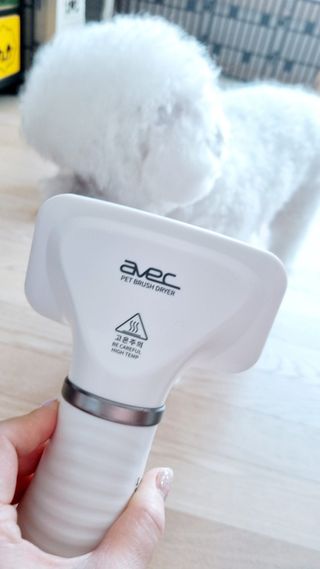 아베크 펫 강아지 고양이 애견 에어 브러쉬 드라이기 올인원 — 5점을 준 리뷰어가 2021년 7월 올린 사용 사진