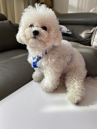 긍정미뇽님이 올린 리뷰 사진 2