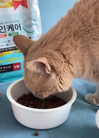 아이린지니님이 올린 리뷰 사진 3