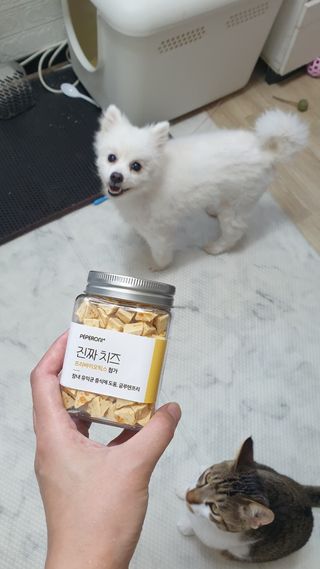 페페로니 진짜 프리바이오틱스 치즈+치즈고구마 180g+180g — 5점을 준 리뷰어가 2021년 7월 올린 사용 사진