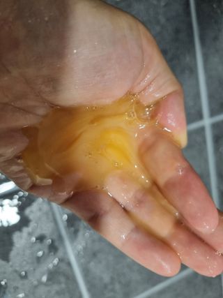 (주)닥터오레고닌 닥터오레고닌 탁시폴린 에디션 샴푸 — 4.5점을 준 리뷰어가 2023년 7월 올린 사용 사진
