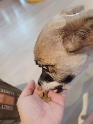 송지은님이 올린 리뷰 사진 3