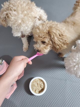 모모맘님이 올린 리뷰 사진 3