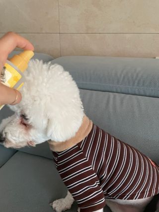 용빈맘님이 올린 리뷰 사진 3