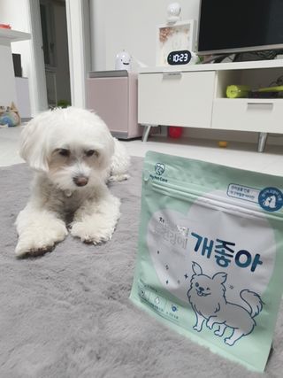 My Pet Care 천연단백질 눈건강에 개좋아 — 3점을 준 리뷰어가 2021년 3월 올린 사용 사진