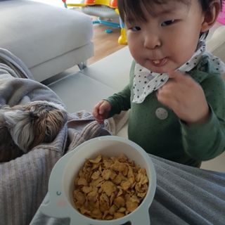씨알푸드 유기농 쌀 시리얼 390g + 갓 구운 유기농 발아통곡물 150g — 5점을 준 리뷰어가 2021년 12월 올린 사용 사진