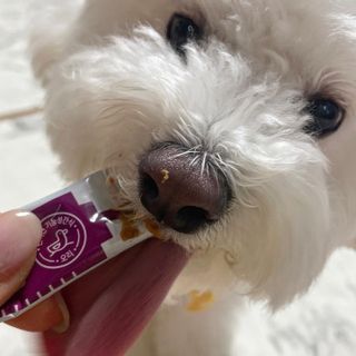 두또먹님이 올린 리뷰 사진 2