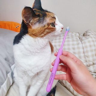 JENNY님이 올린 리뷰 사진 1
