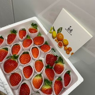 옳음 딸기 논산 설향 딸기 900g 산지직송 — 5점을 준 리뷰어가 2021년 1월 올린 사용 사진