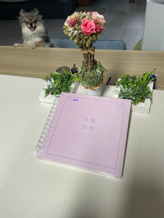 다솜8009님이 올린 리뷰 사진 1