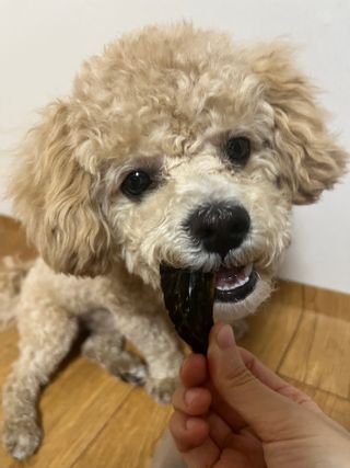 순둡님이 올린 리뷰 사진 4