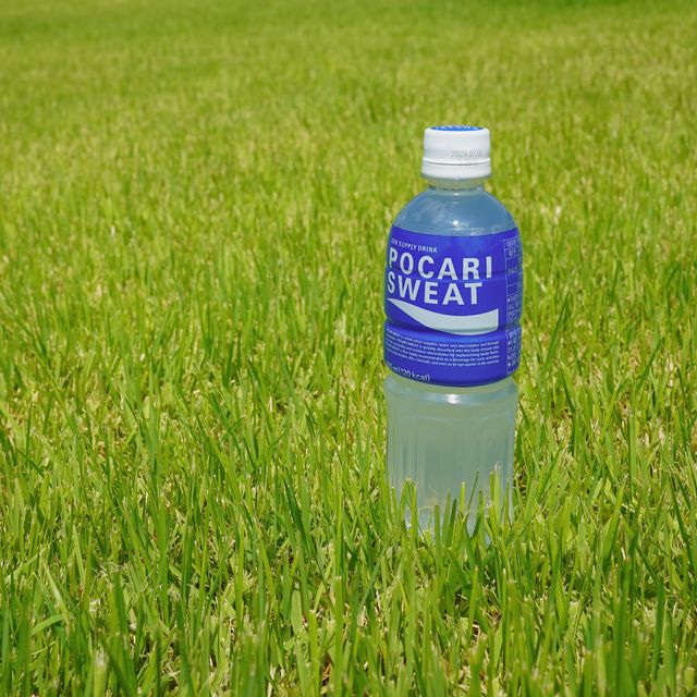 MF[포카리스웨트] 500ml PET 리뷰 사진