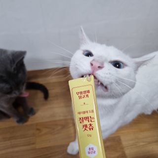 엘보리님이 올린 리뷰 사진 3