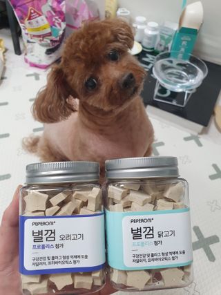 페페로니 자기전에 먹는 저알러지 껌 세트 치킨+오리 — 5점을 준 리뷰어가 2021년 7월 올린 사용 사진