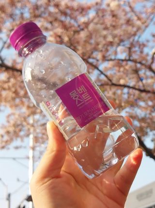 몽베스트 [MONTBEST] 330mL 20병 — 5점을 준 리뷰어가 2023년 4월 올린 사용 사진