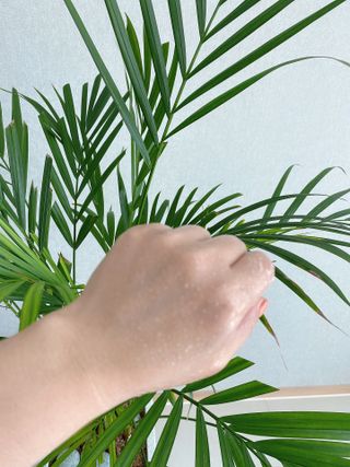 메이쩐님이 올린 리뷰 사진 4