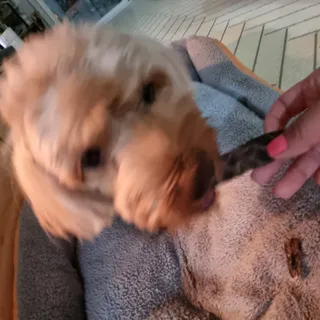 기린짱맘님이 올린 리뷰 사진 3