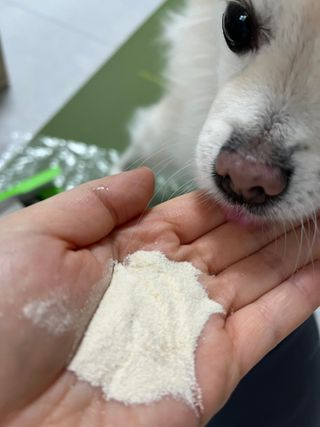 [몸엔용] 에버업 멀티비타민&미네랄, 눈건강 루테인 혈행건강 오메가3, 면역 프로바이오틱스 3종 택1 — 5점을 준 리뷰어가 2022년 4월 올린 사용 사진