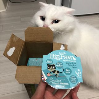 하루님이 올린 리뷰 사진 1