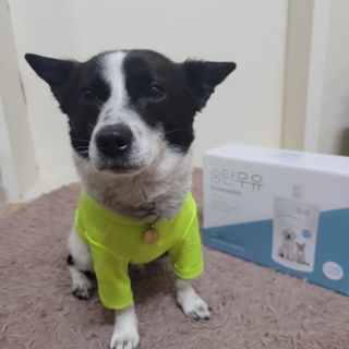 노이님이 올린 리뷰 사진 3