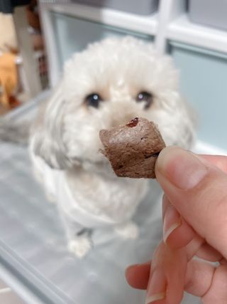 연쨩님이 올린 리뷰 사진 2