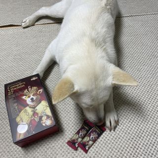 나래님이 올린 리뷰 사진 2