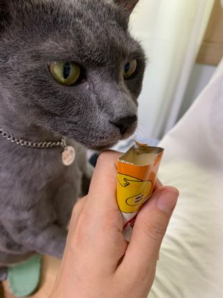꾸루쿡님이 올린 리뷰 사진 4