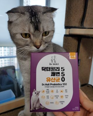으하하하하님이 올린 리뷰 사진 1