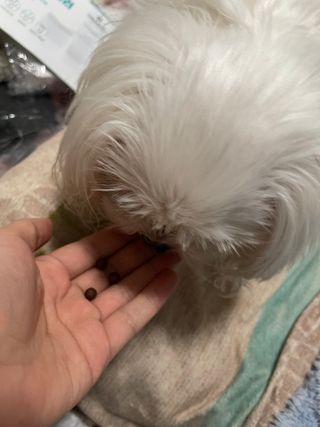 대바기님이 올린 리뷰 사진 3