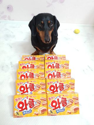 히이잇님이 올린 리뷰 사진 3